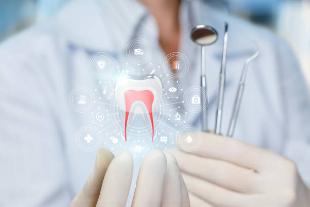 Trusted Elk Rapids, MI  Holistic Dental Services Experts